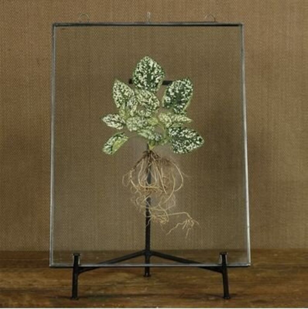 Large Black Iron Stand