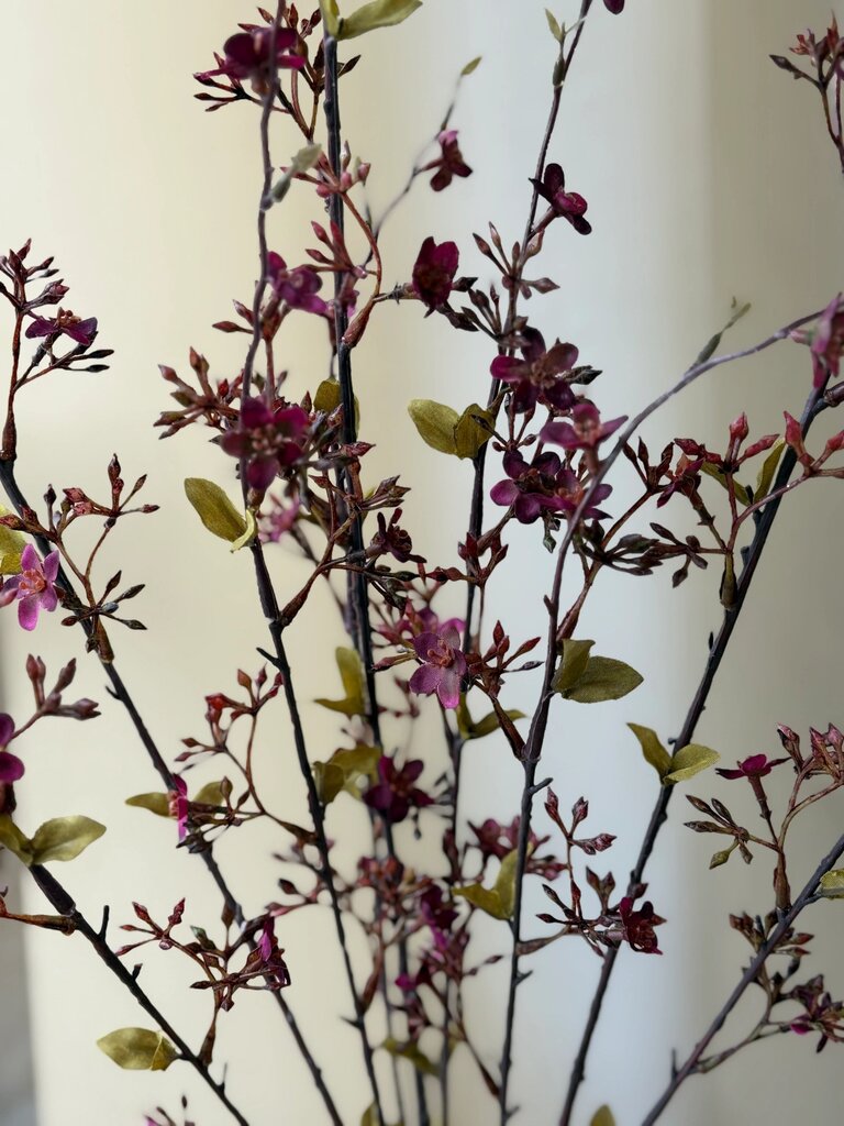 36" Switchblooms Bush- Sangria