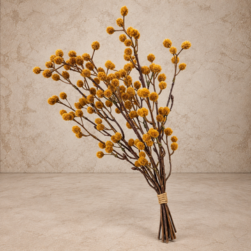 19" Winged Seeds Bundle