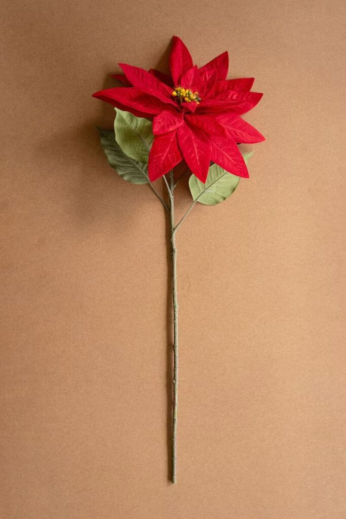 31" Poinsettia Stem