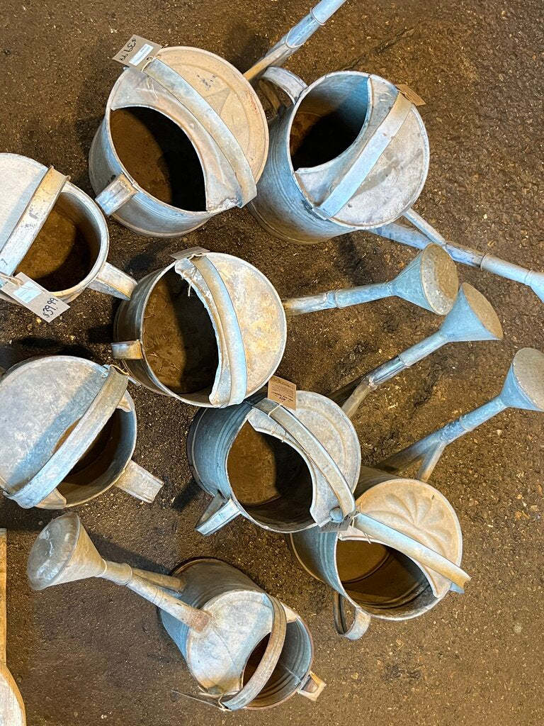 Authentic European Galvanized Watering Can