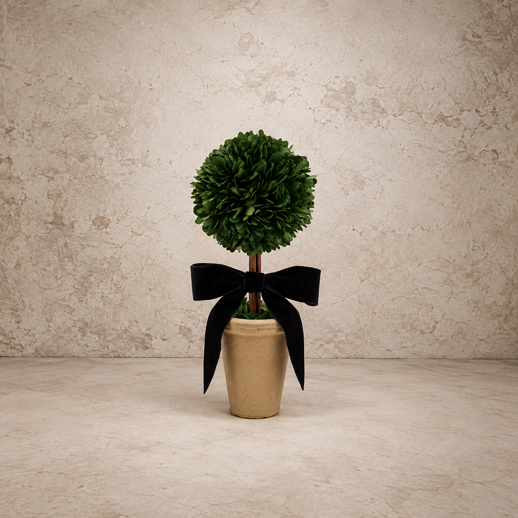 Dried Boxwood Tree In Terracotta Pot w/ Navy Velvet Bow