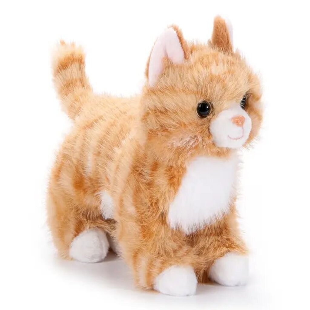 Fishstick The Orange Tabby Cat