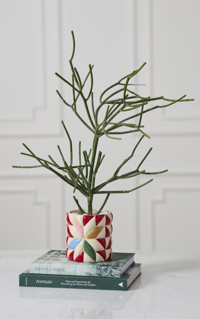 Cozy Quilt Pot