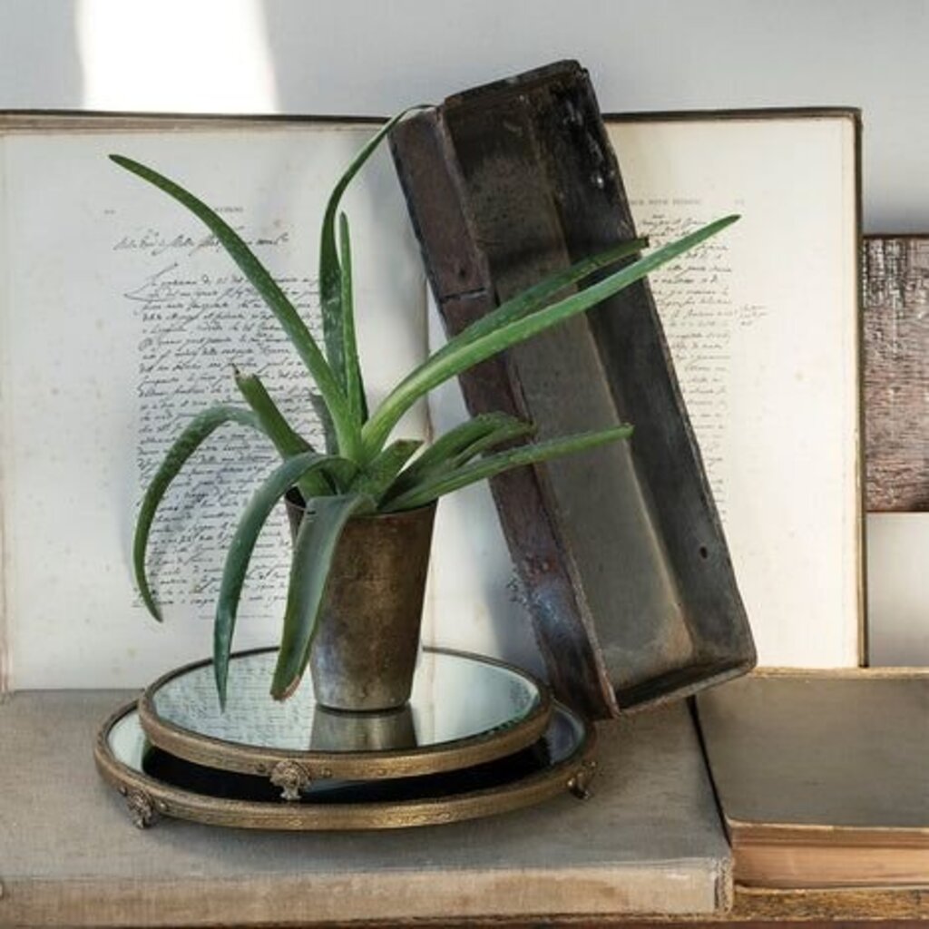 Amazing Vintage Iron Tray