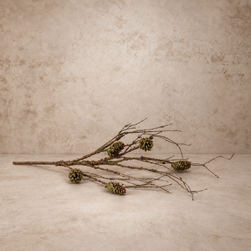 26" Mossy Pinecone & Twig Spray