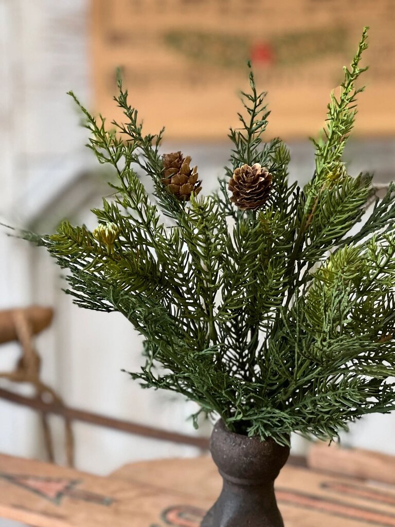 Telluride Spruce Bush - 14"