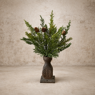 Telluride Spruce Bush - 14"