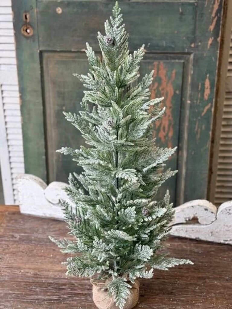 36" Winter Overture Pine Tree