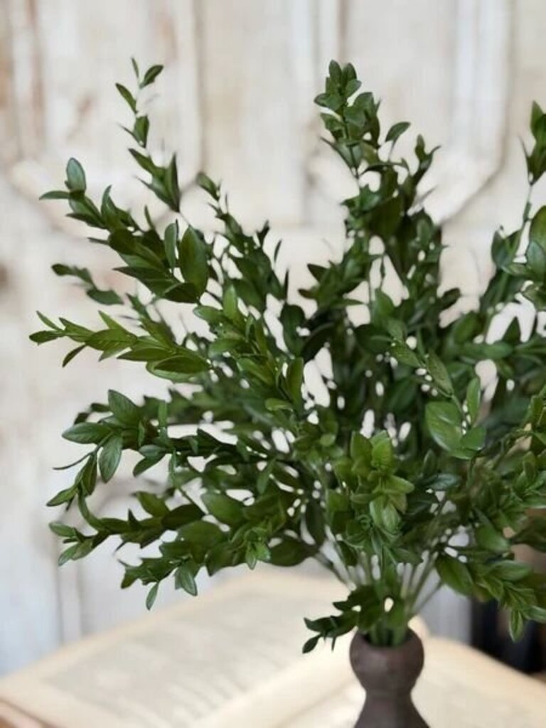 18" Nottswood Leaves Bush