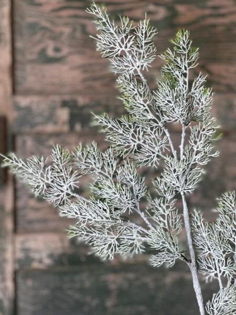 Fairisle Cedar Spray - 35"