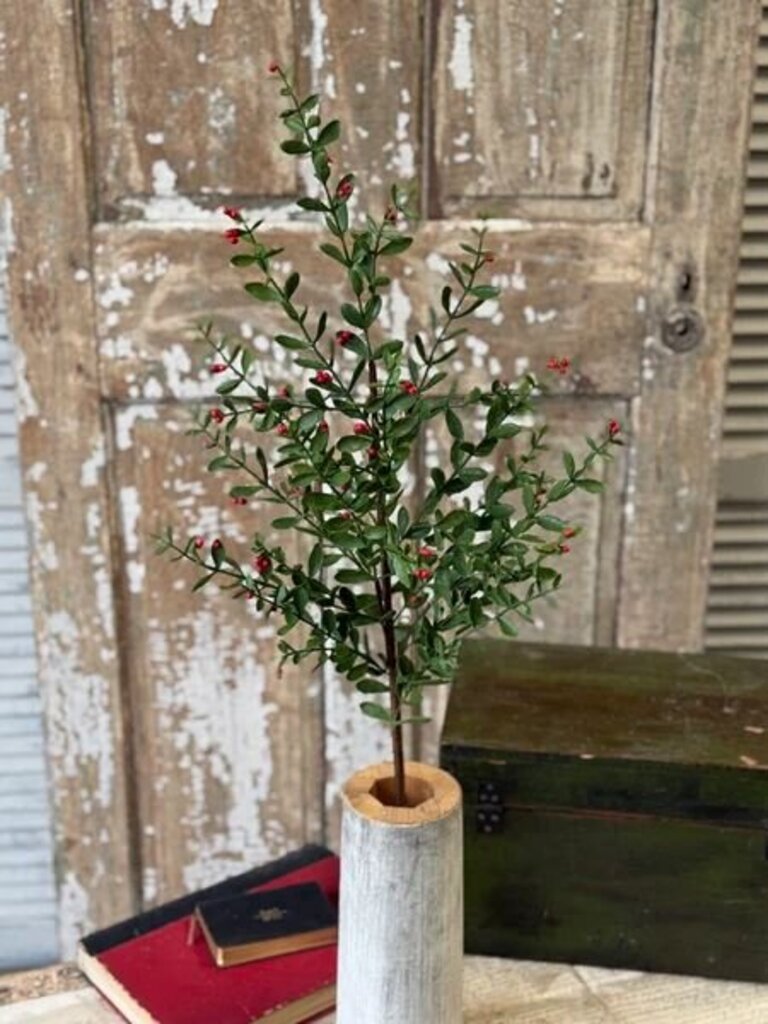 36" Sutherland Berry Spray