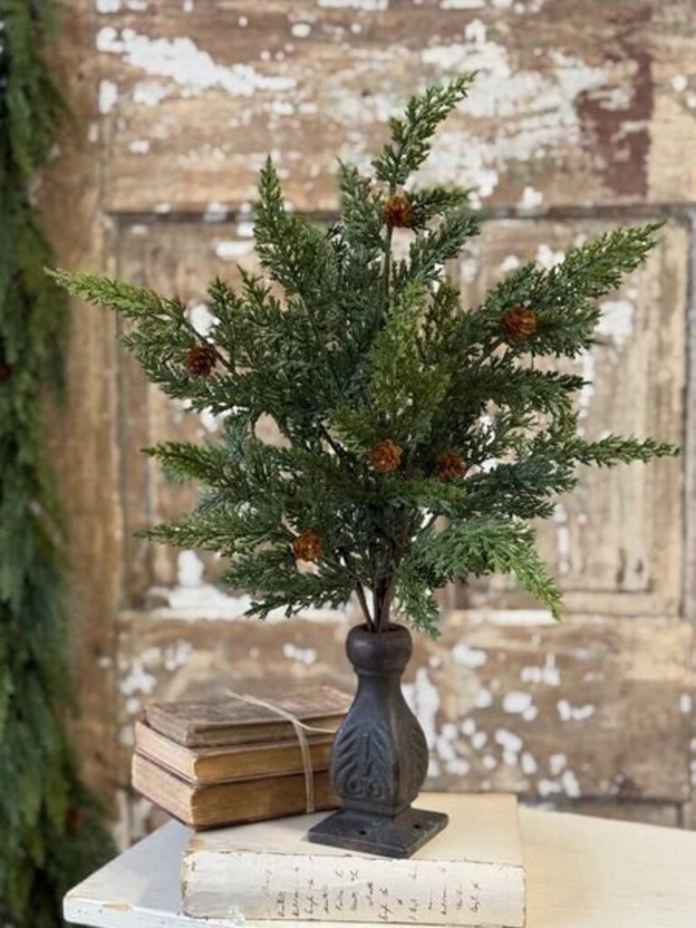 20" Woodbridge Cedar Bush