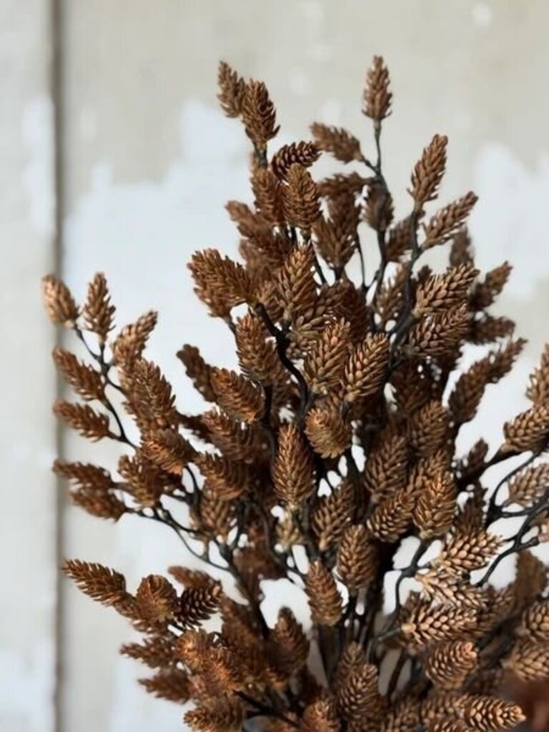 19" Plethora Pinecones Bush