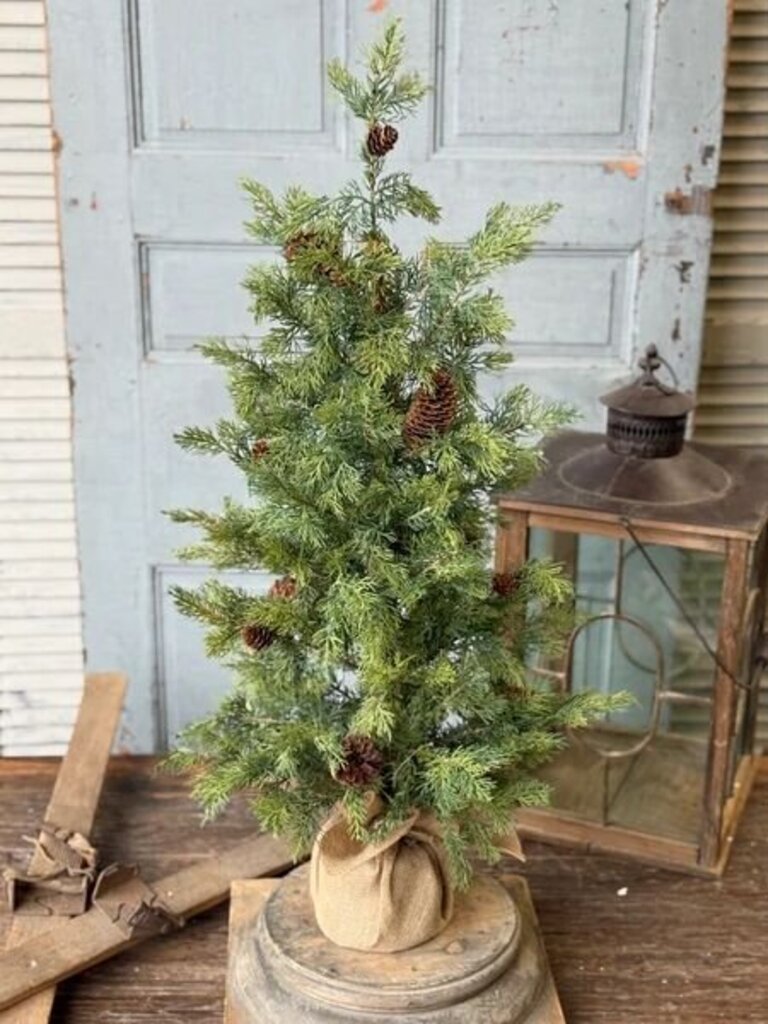 36" Longhope Cedar Tree