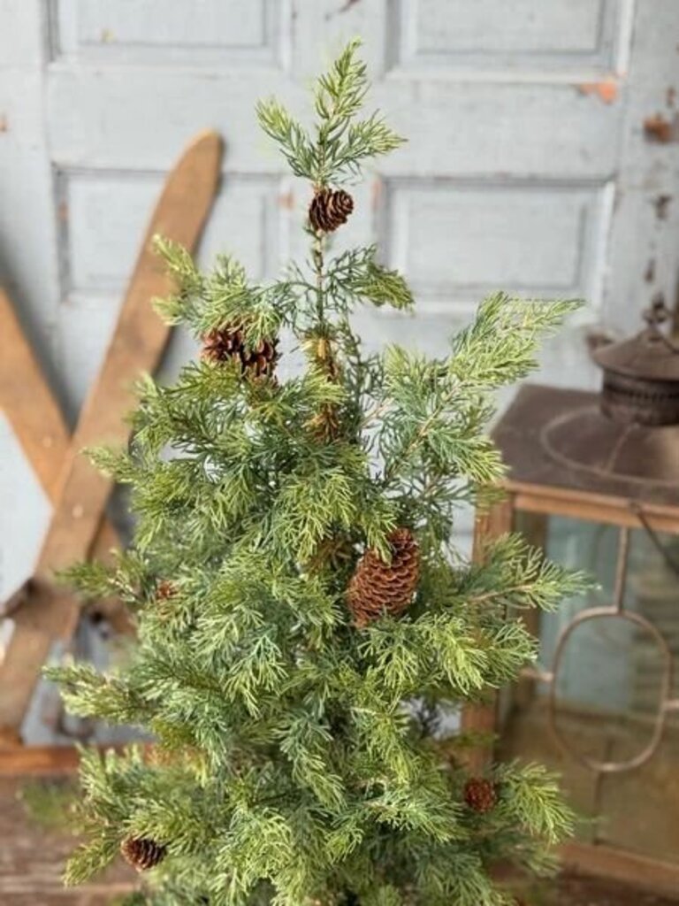 36" Longhope Cedar Tree