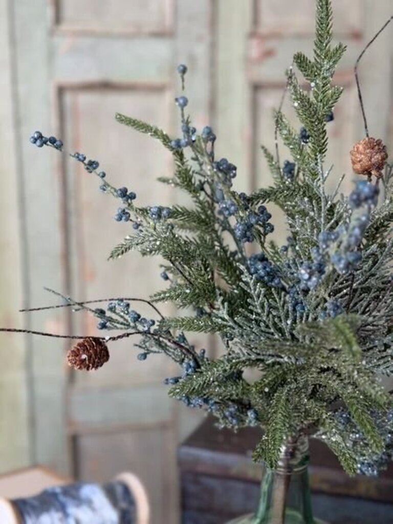 19.5" Bluehaven Cedar Bush