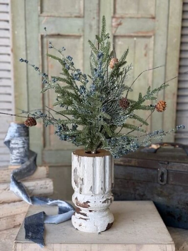 19.5" Bluehaven Cedar Bush