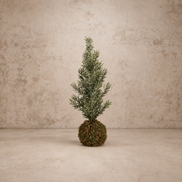 Faux Fir Tree w/ Moss Ball Base
