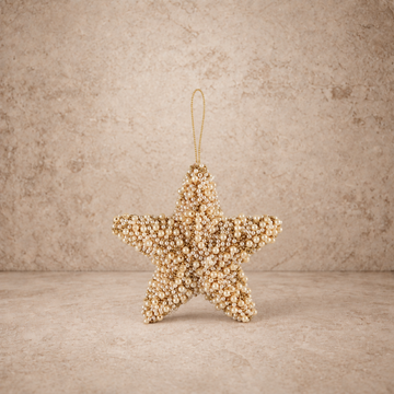 Foam Star Ornament w/ Faux Pearls