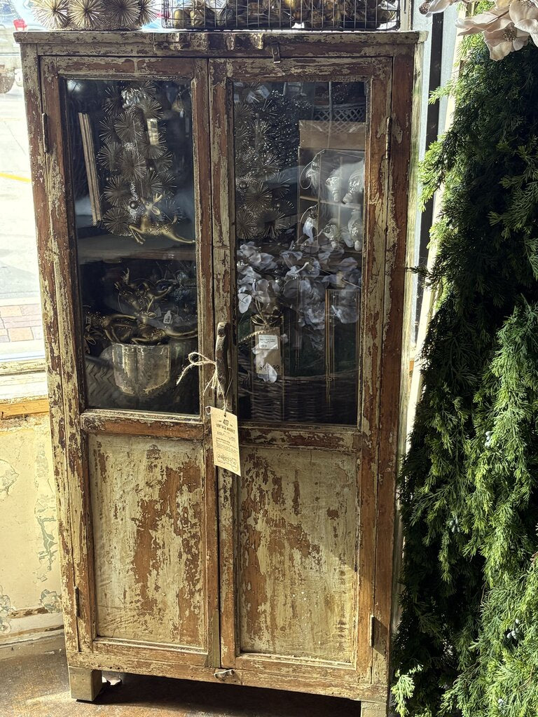 Cute Two Glass Door Wood Cabinet