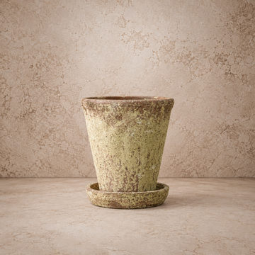Distressed Sand/Terracotta Pot - 8.5"