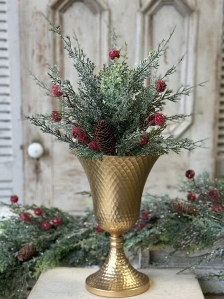 20" Shining Balsam Berry Bush