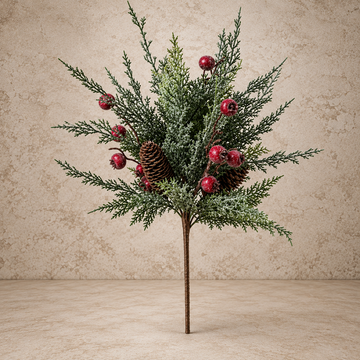 20" Shining Balsam Berry Bush