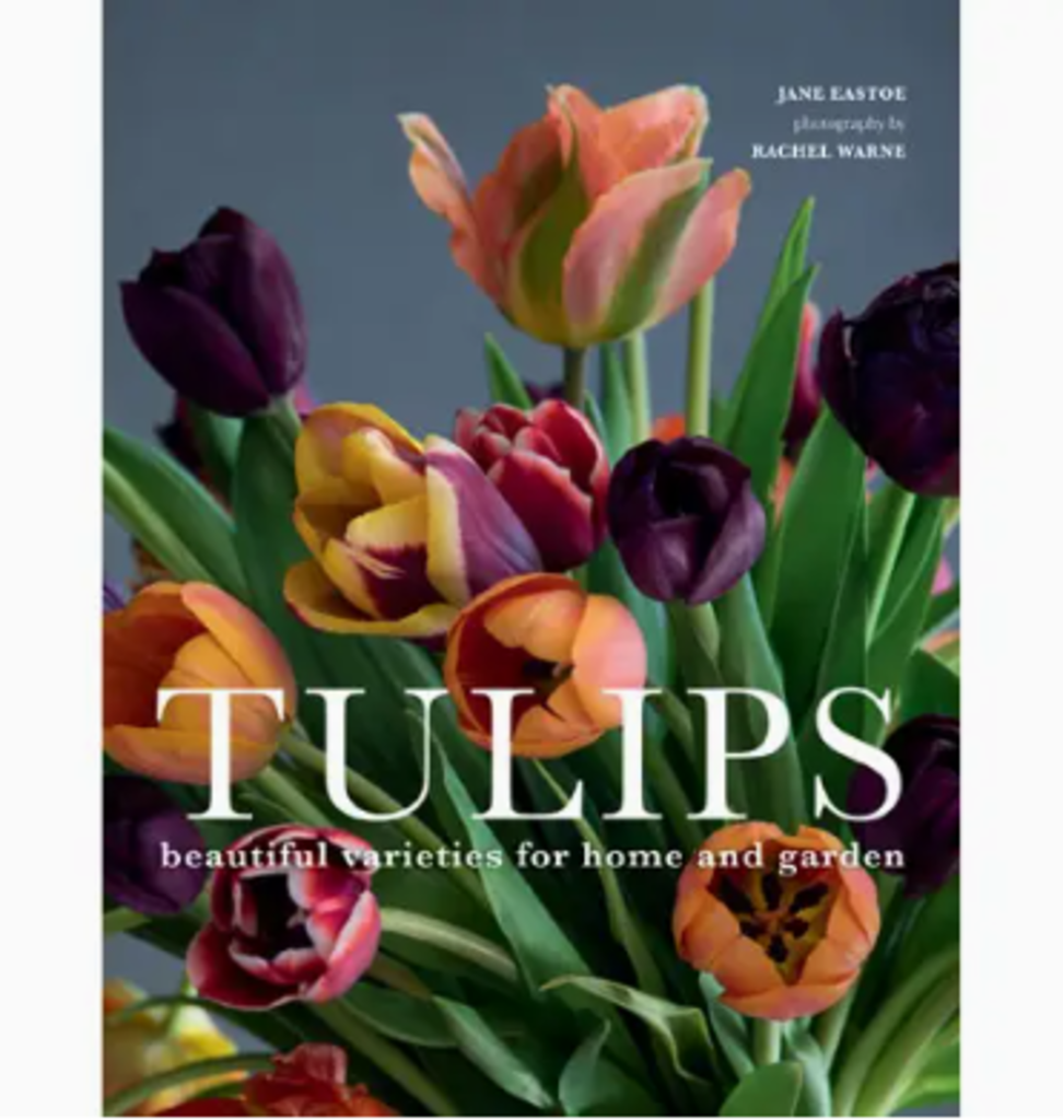 Tulips Garden Book
