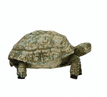 Resin Turtle w/ Distressed Finish