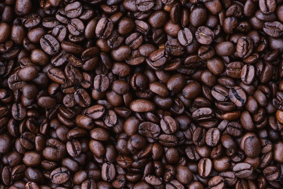 Sumatra Coffee (Dark Roast, 1lb)